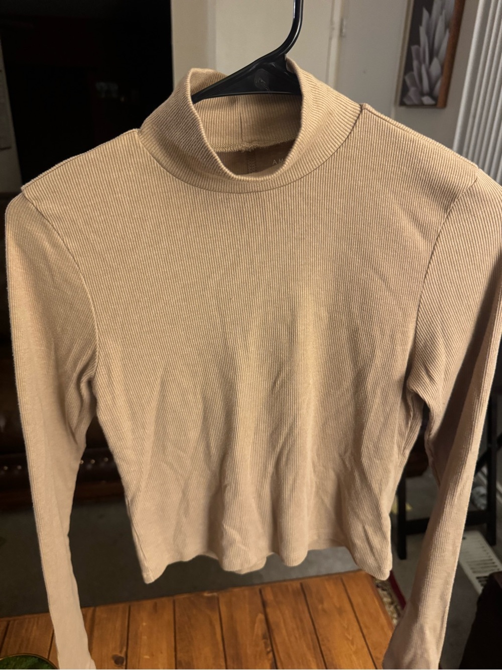 American Eagle Outfitters Cropped Ribbed Mock Neck Long Sleeve Top in Beige